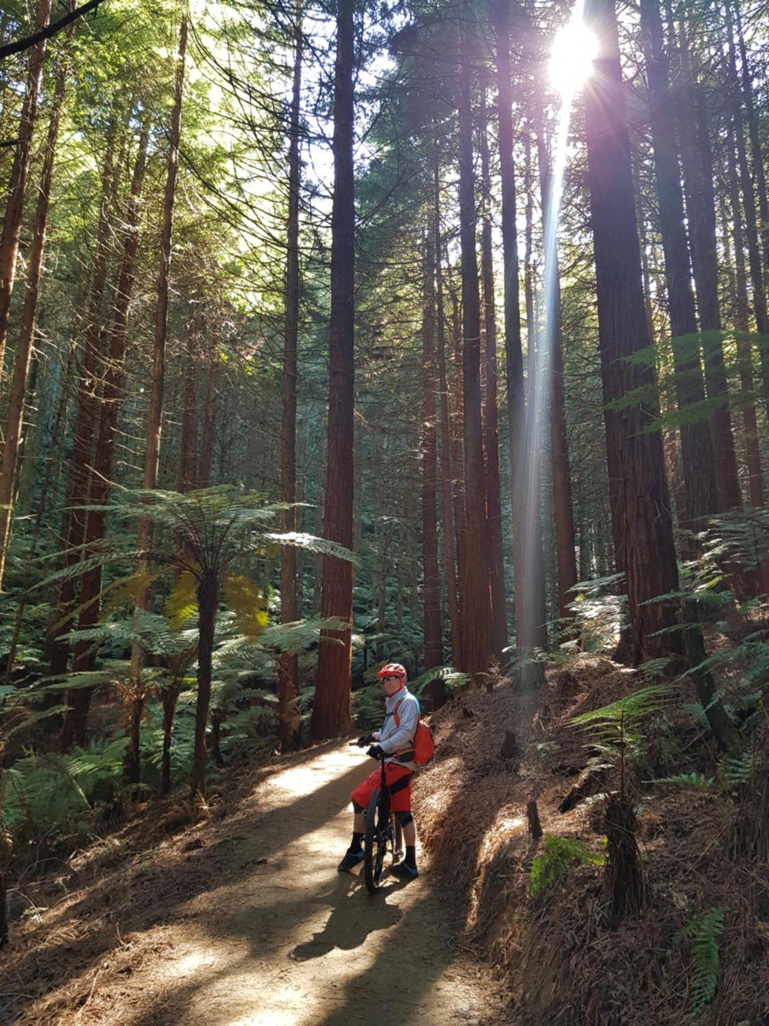 Rotorua Views B&B/Apartment 외부 사진